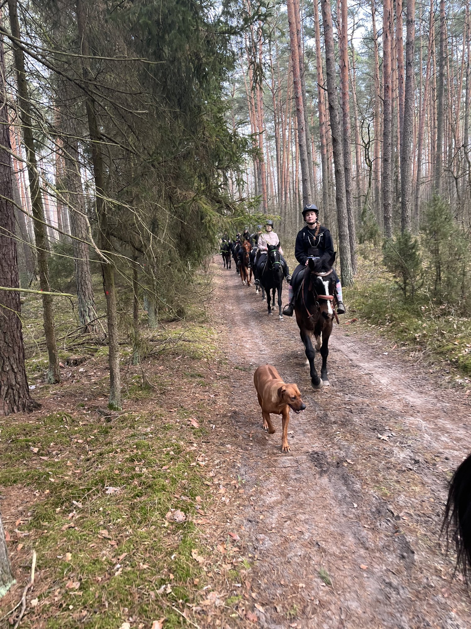 IMG 3498