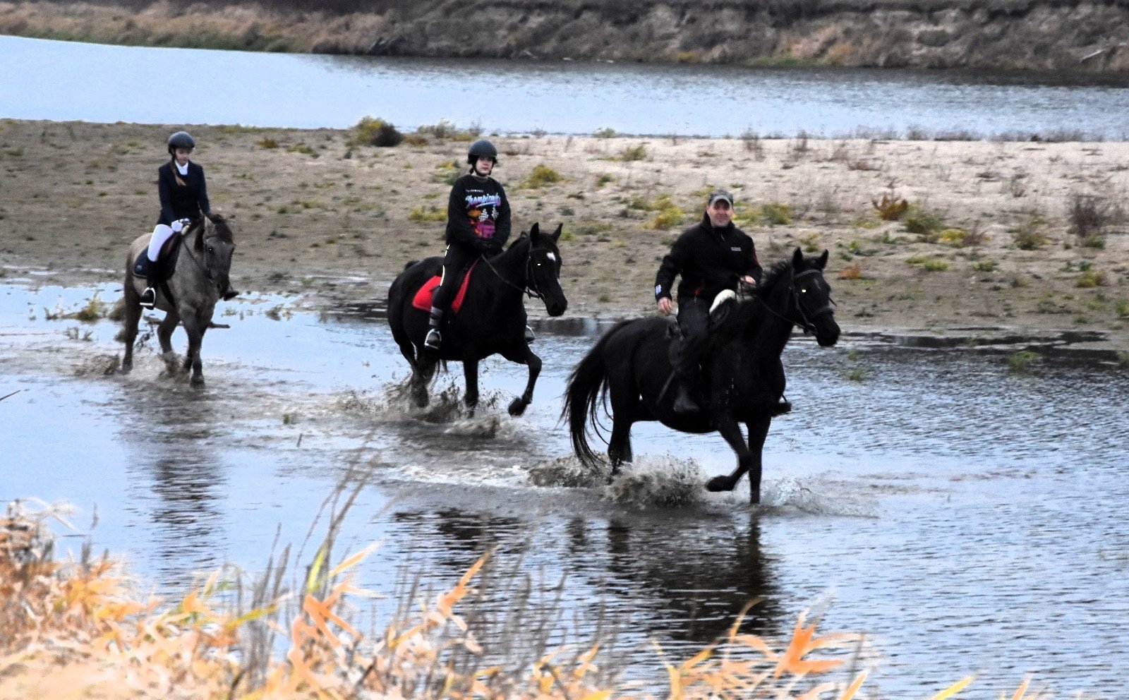 c8b85398 b303 4e1b 8e30 59ffaa498e3b