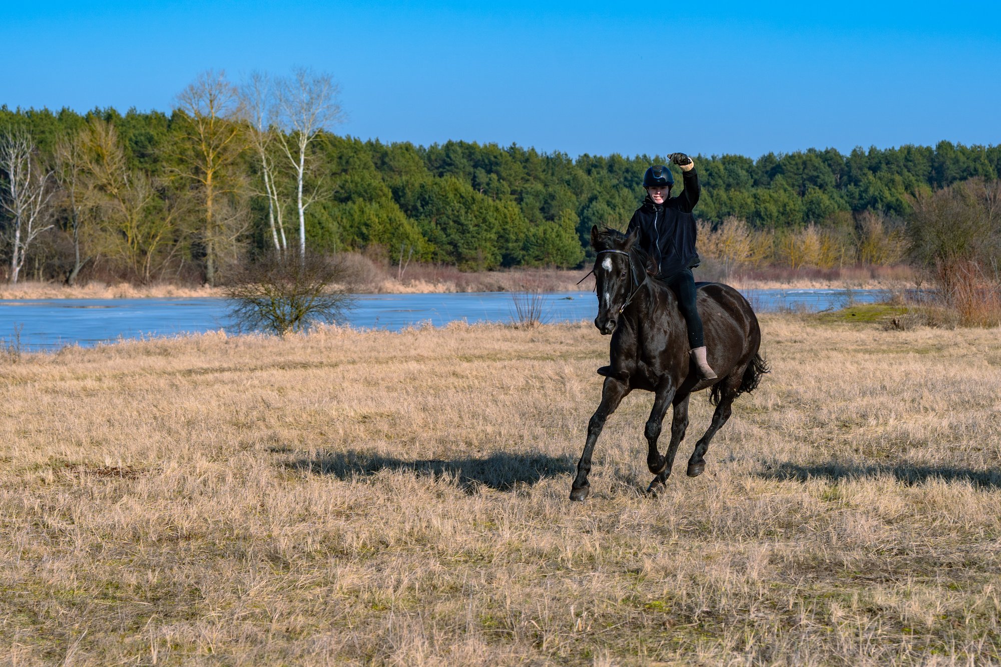 Pensjonat <i class="italic">dla Koni</i>