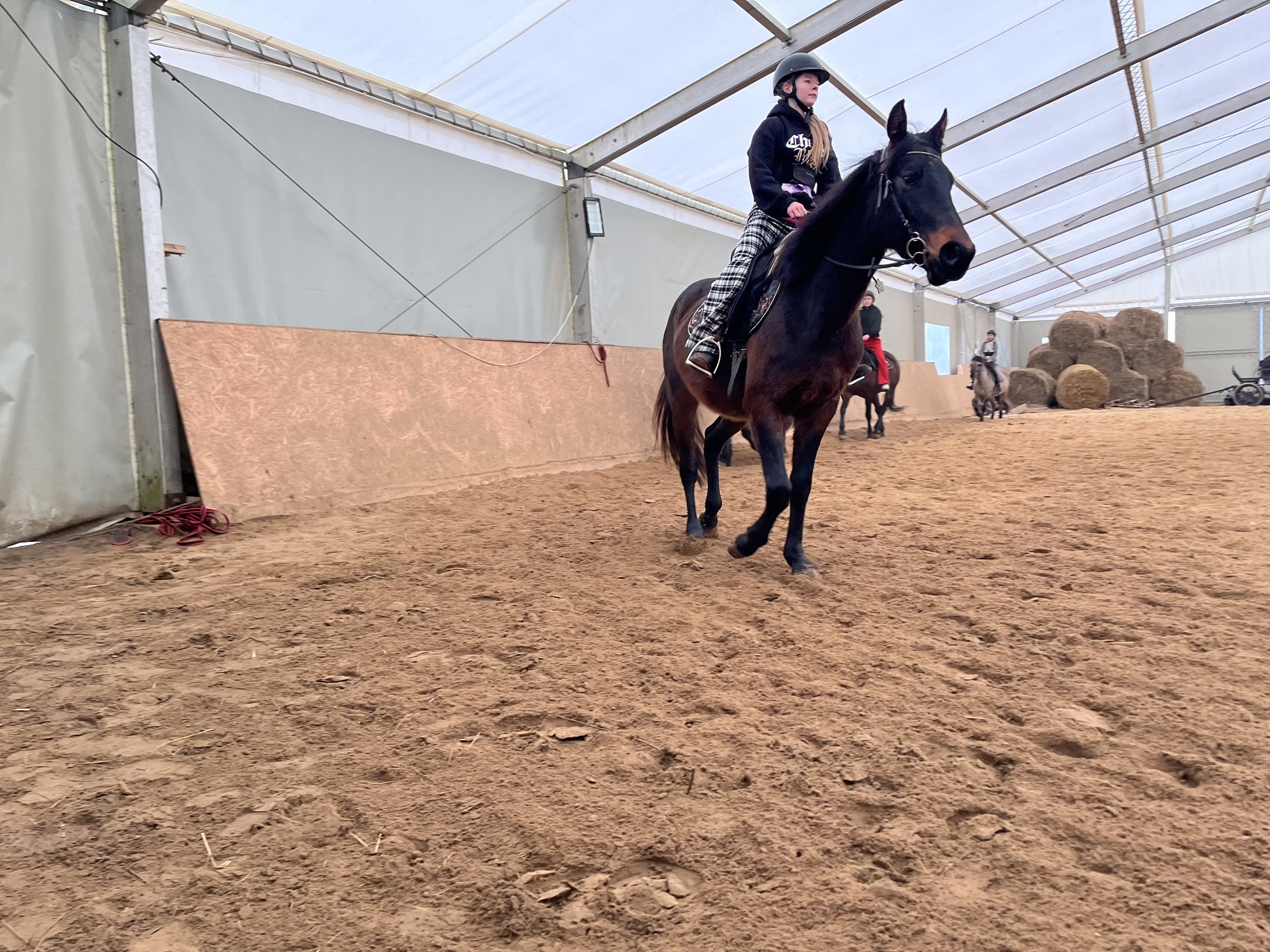 Dla Dzieci <i class="italic">i Szkół</i>