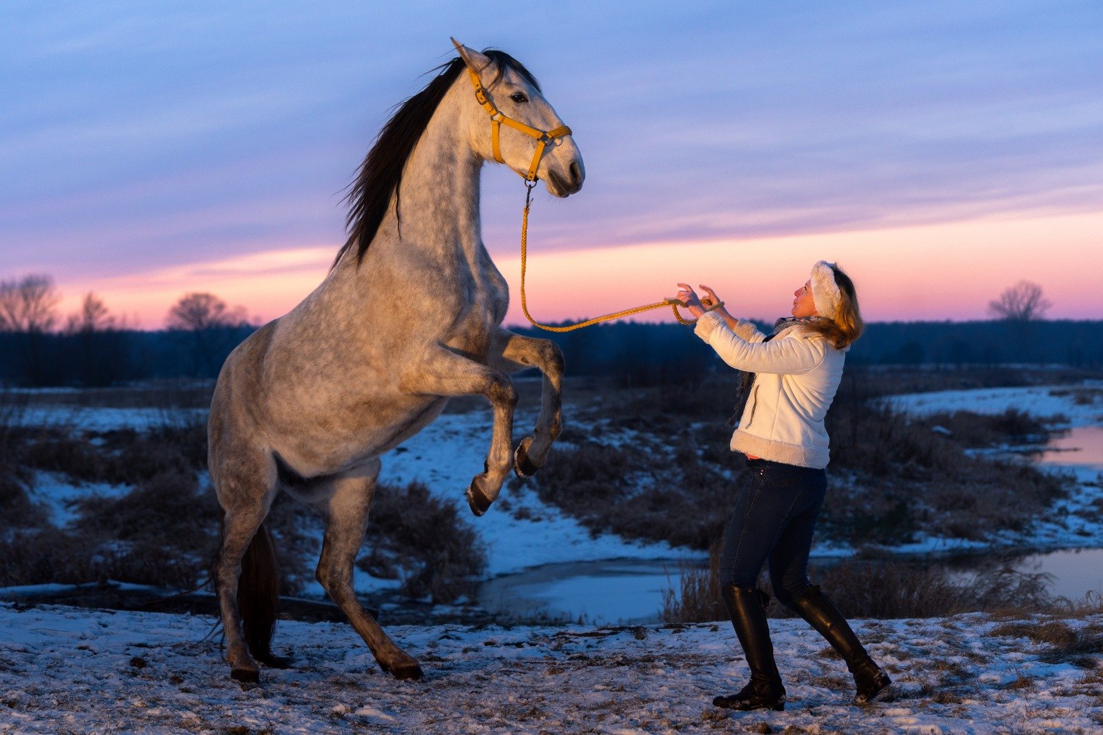 b94c5085 e7ae 4ab9 bb9b 190920c2fb5c