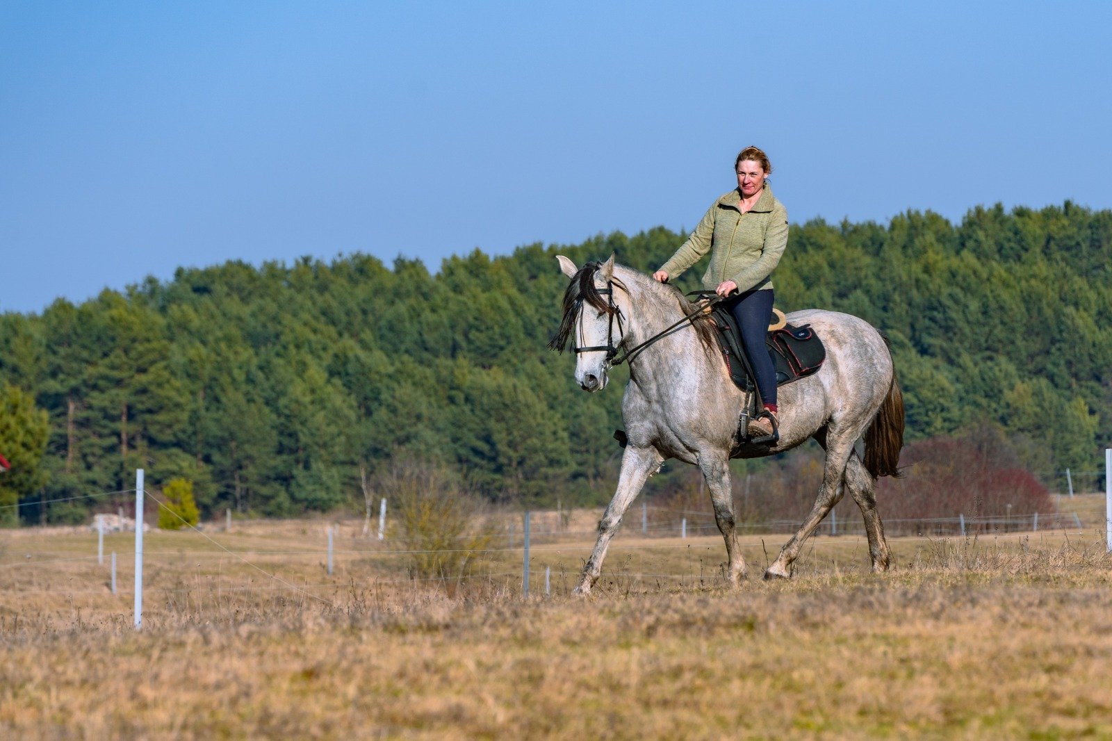 e8b2dc09 f64f 4e2f 8ed5 511633331182